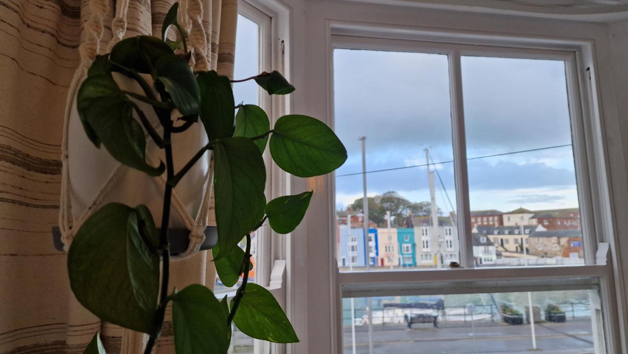 The Ocean Guest House Weymouth Exteriör bild